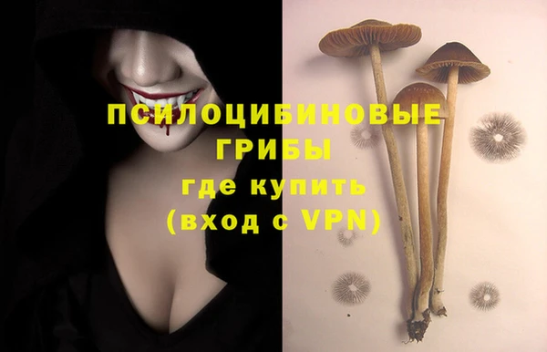 экстази Лабытнанги