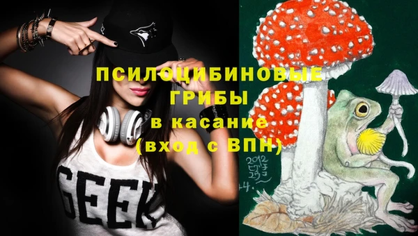 трава Ладушкин